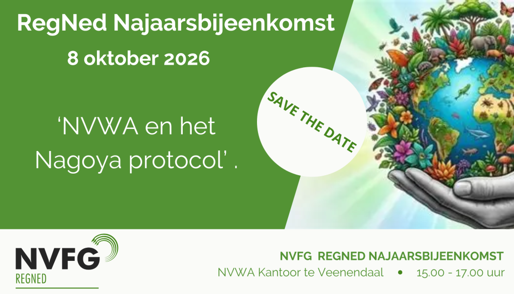save-the-date